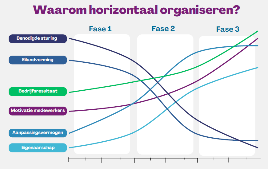 Welke vorm van horizontaal organiseren past bij jou en jouw organisatie?